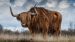 Sanctuary was supposed to be a safe place for Australian wildlife. Then came the fire. Sanctuary was supposed to be a safe place for Australian wildlife. Then came the fire.