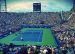 Tennis Match: Go Federer