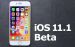 苹果升级了新版IOS，掉电掉到怀疑人生怎么破？