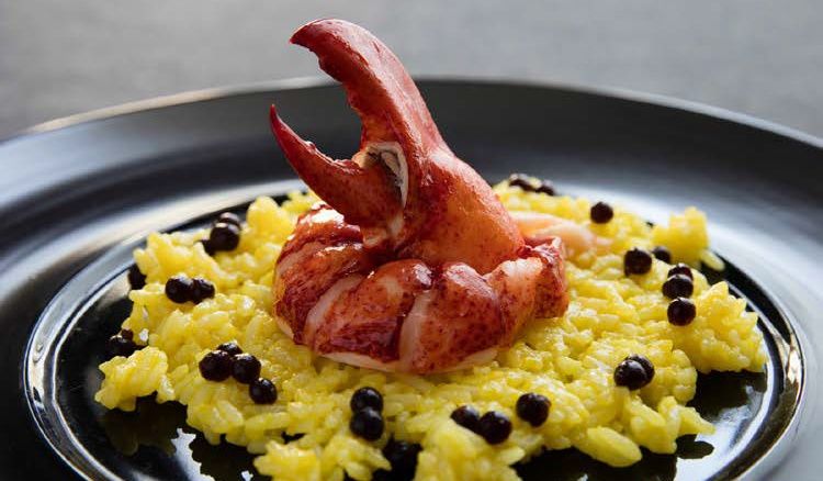 slowcookedlobster