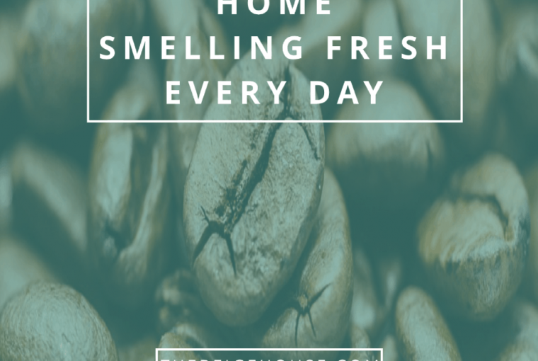 eep your home smelling fresh every day