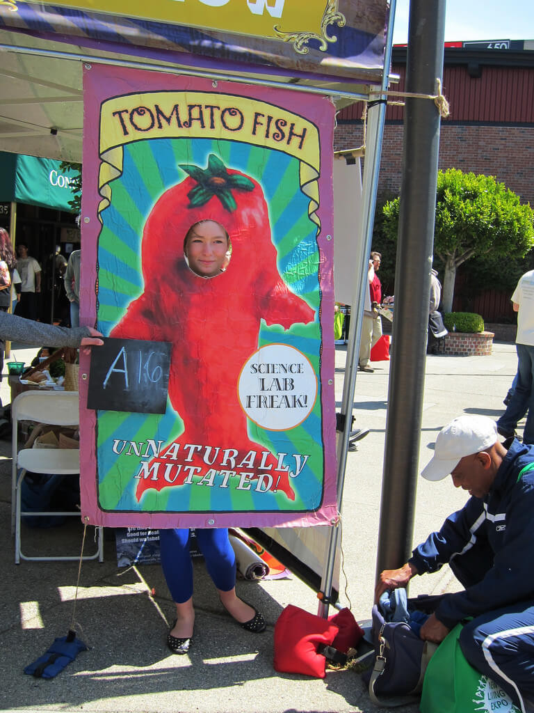 gmo lies