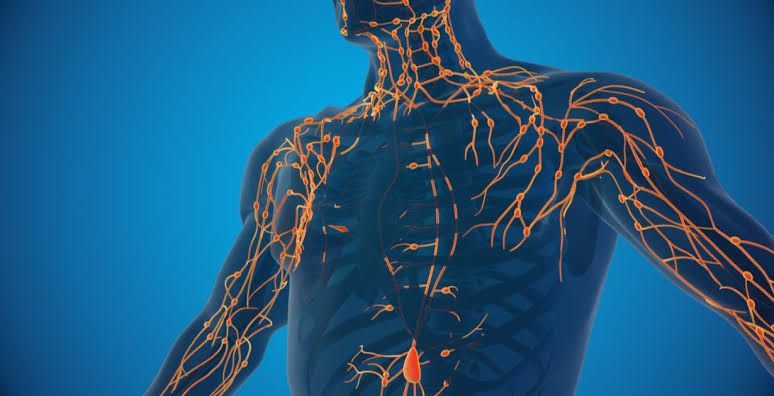 THE ULTIMATE GUIDE TO UNDERSTANDING THE LYMPHATIC SYSTEM