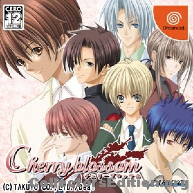 Cherryblossam Limited Edition