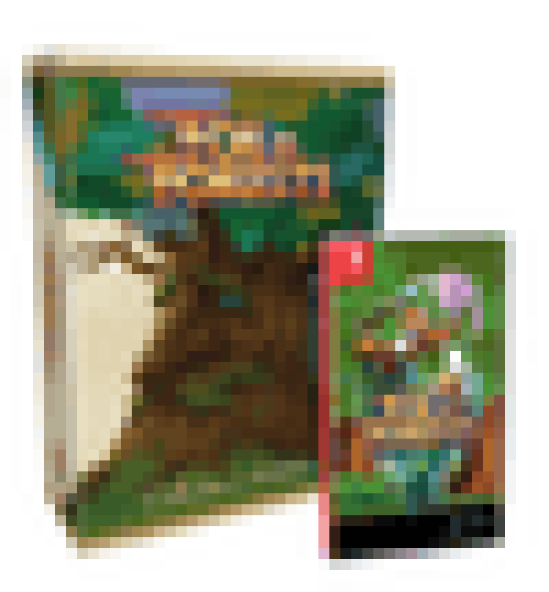 FOX N FORESTS COLLECTOR'S EDITION (NINTENDO SWITCH)