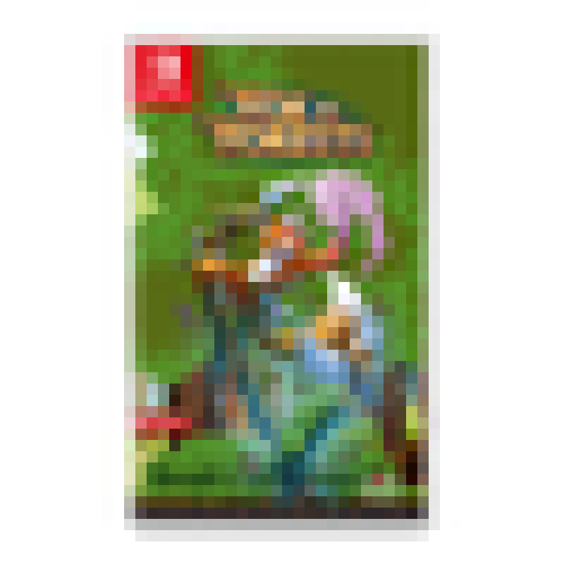 FOX N FORESTS (NINTENDO SWITCH)