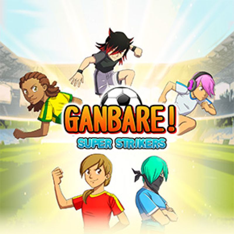 Ganbare! Super Strikers Collector's Edition
