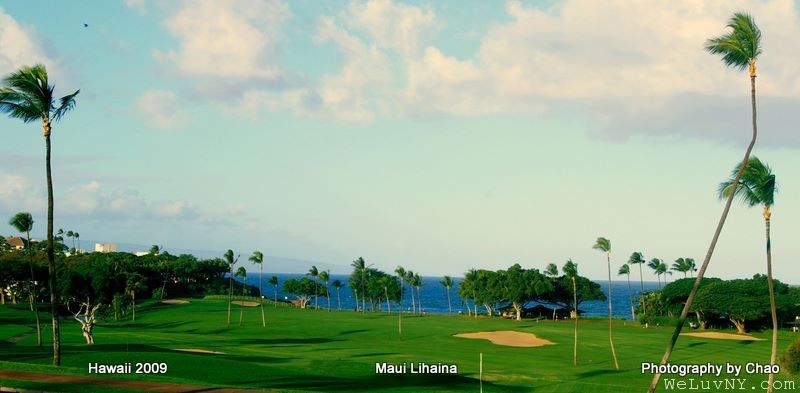 Lahaina 3