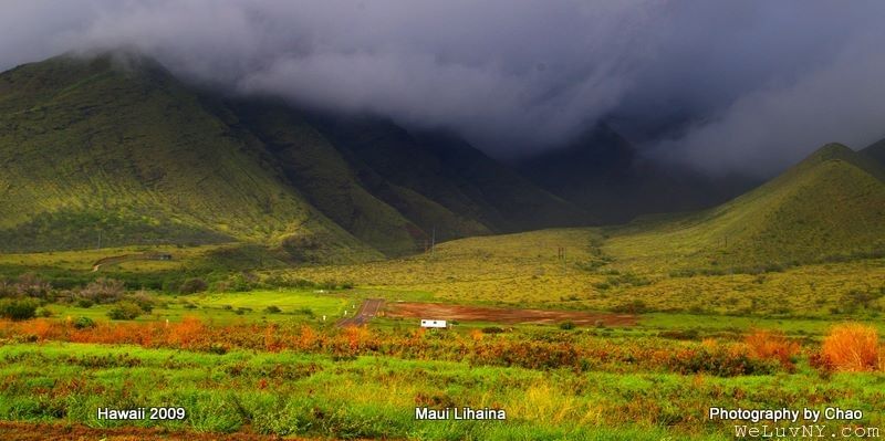 Lahaina 4