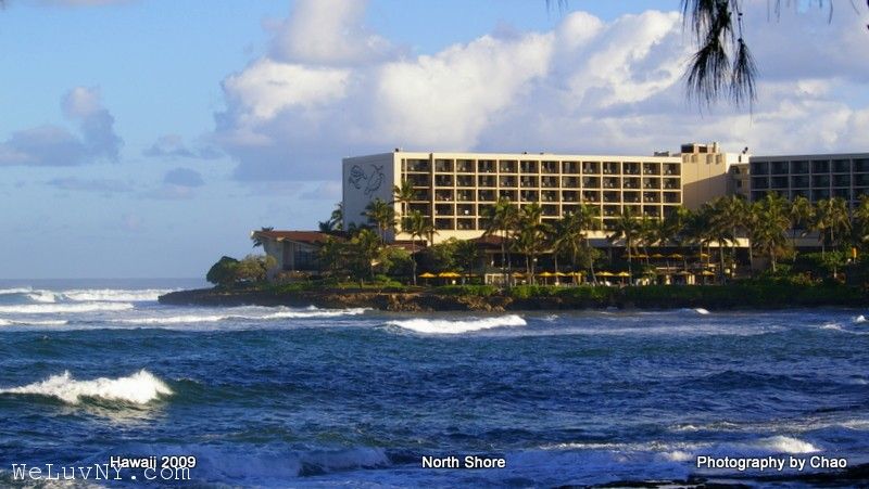Turtle Bay Hotel