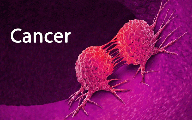 CANCER’S MOLECULAR BIOLOGY: KEY FACTS YOU SHOULD KNOW
