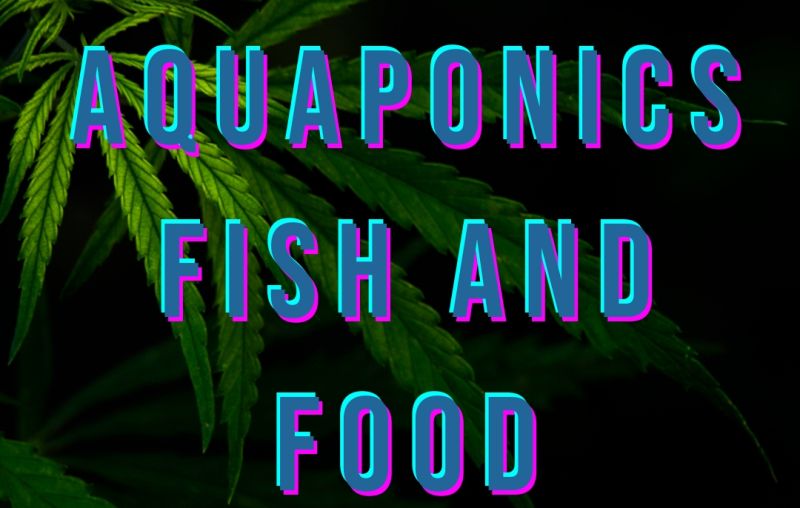 a green plant with a cat and a dog