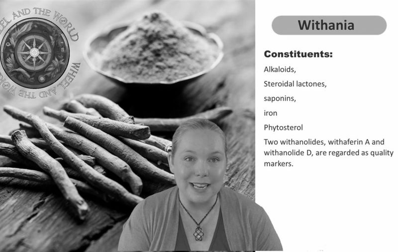 natural-health-courses