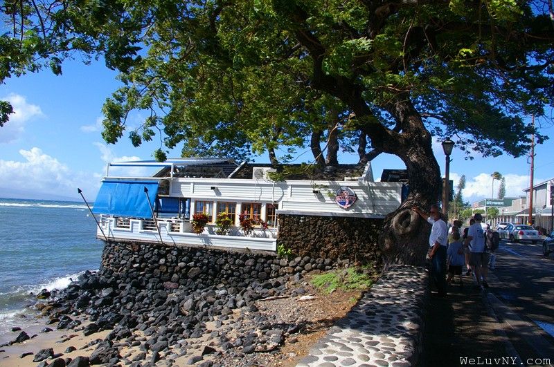 Lahaina 6