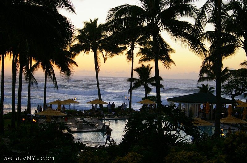 Turtle Bay Resort 2
