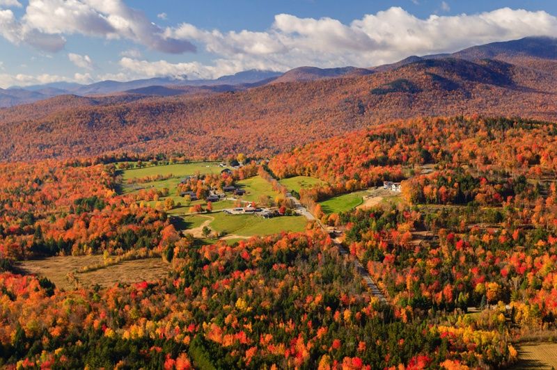 Aerial view of fall foliage, Stowe, Vermont, USA