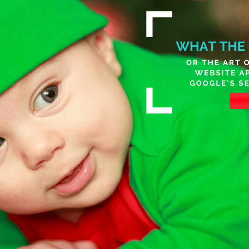 What the @*&!# is SEO? Or the art of having your website appear high in Google’s search results. 1