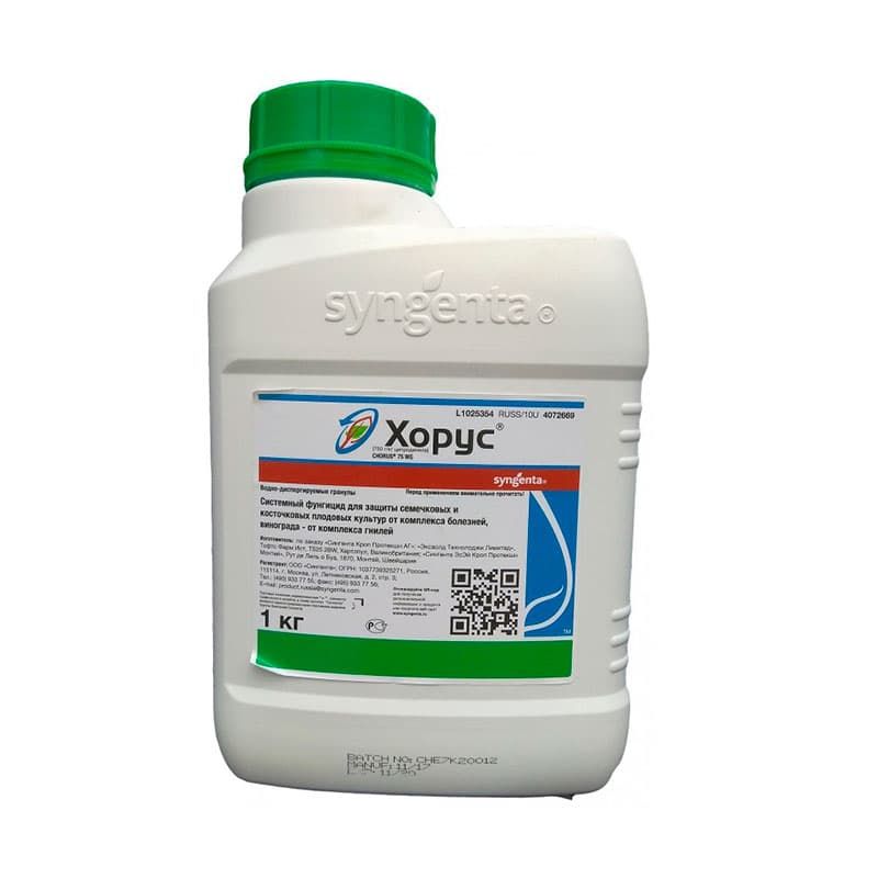 Купить фунгицид Хорус, ВДГ (750 г/кг) для голубики с доставкой