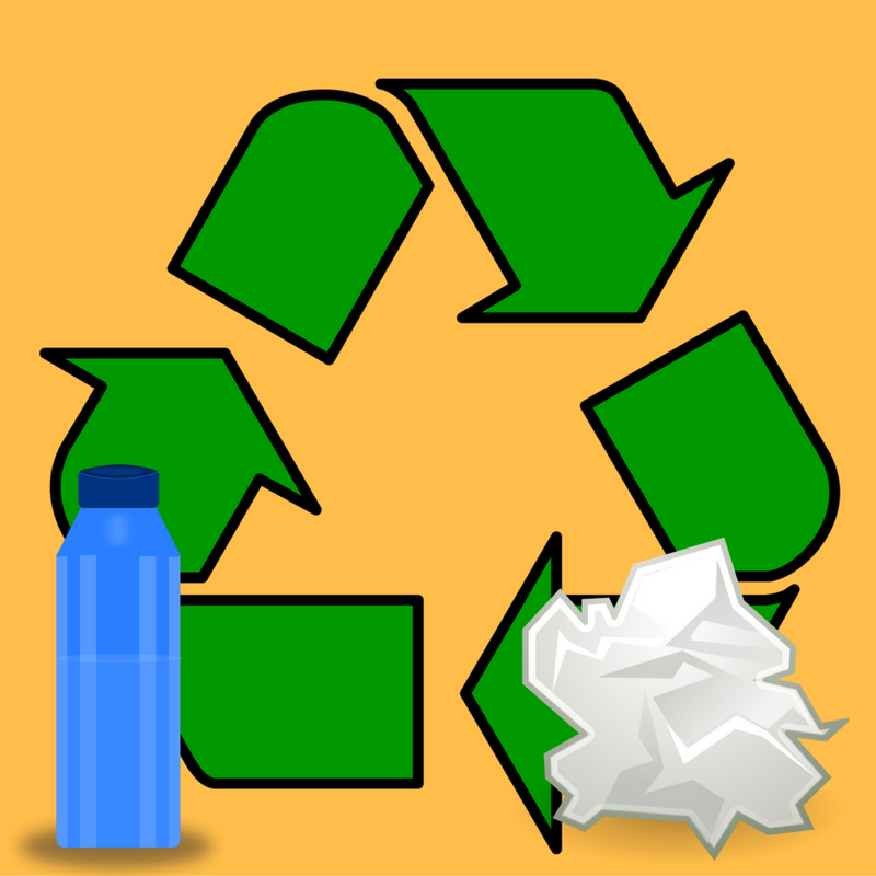 Recycling is just one step people can take to help the planet. (Ashley Sierzega)