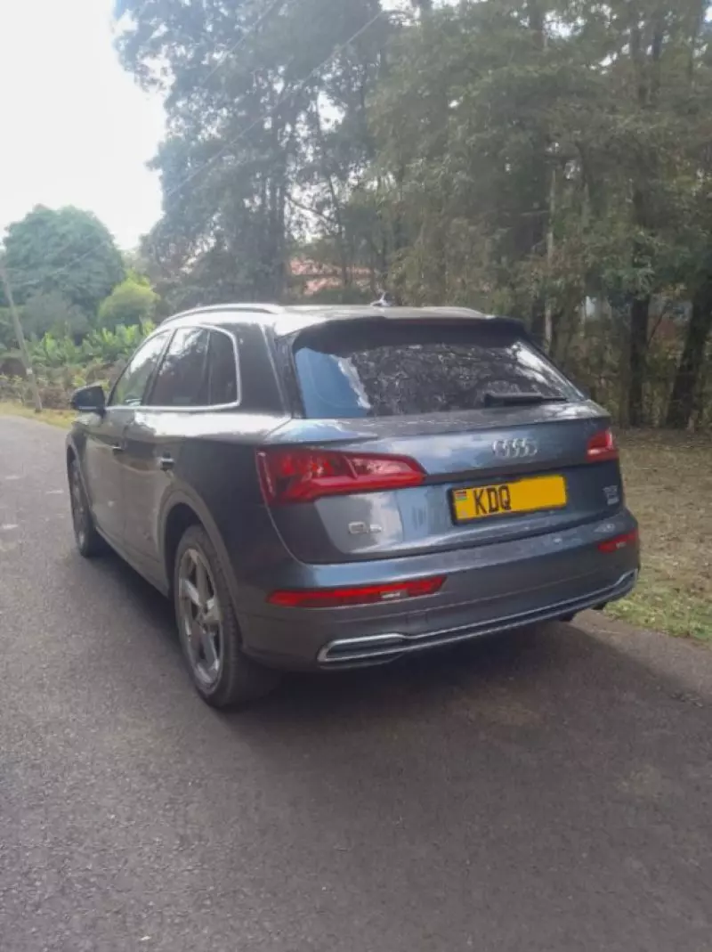 Audi Q5 - 2019