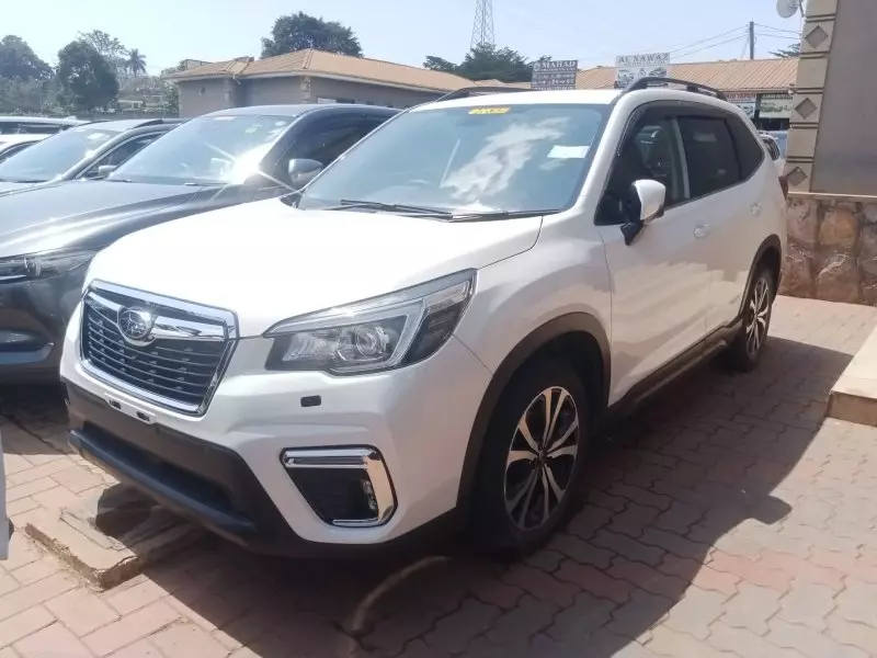 Subaru Forester   - 2019