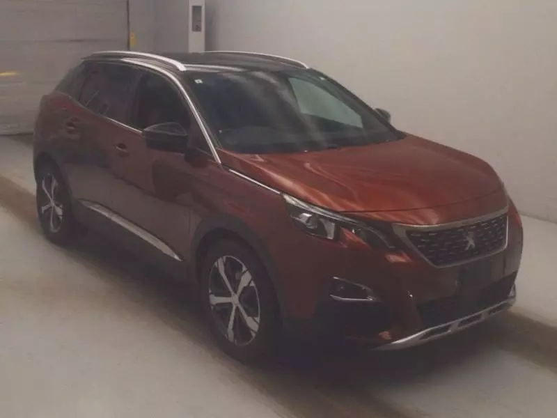 Peugeot 3008 - 2019