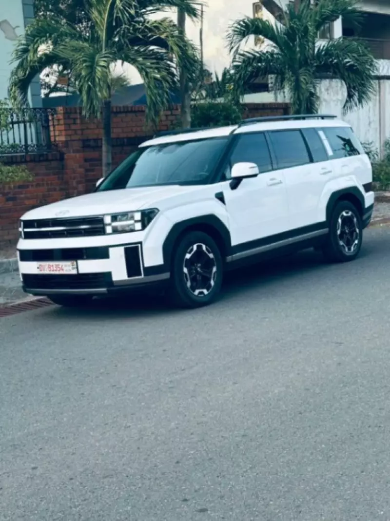 Hyundai Santa Fe   - 2024