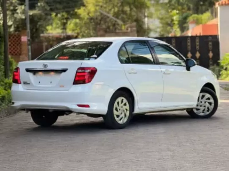 Toyota Axio    - 2019