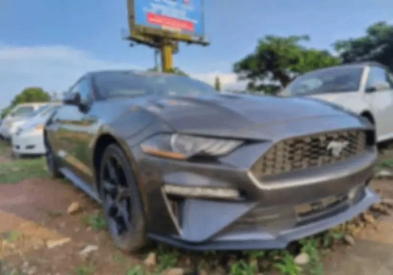 Ford Mustang   - 2019
