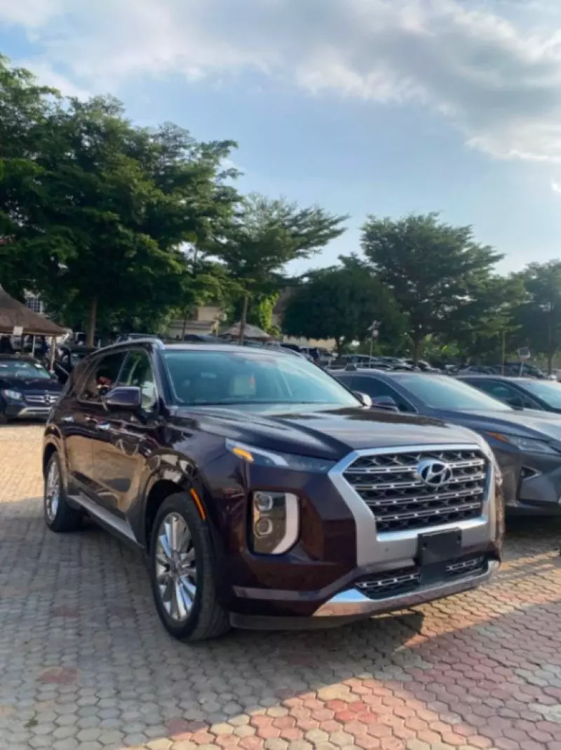 Hyundai Palisade   - 2020
