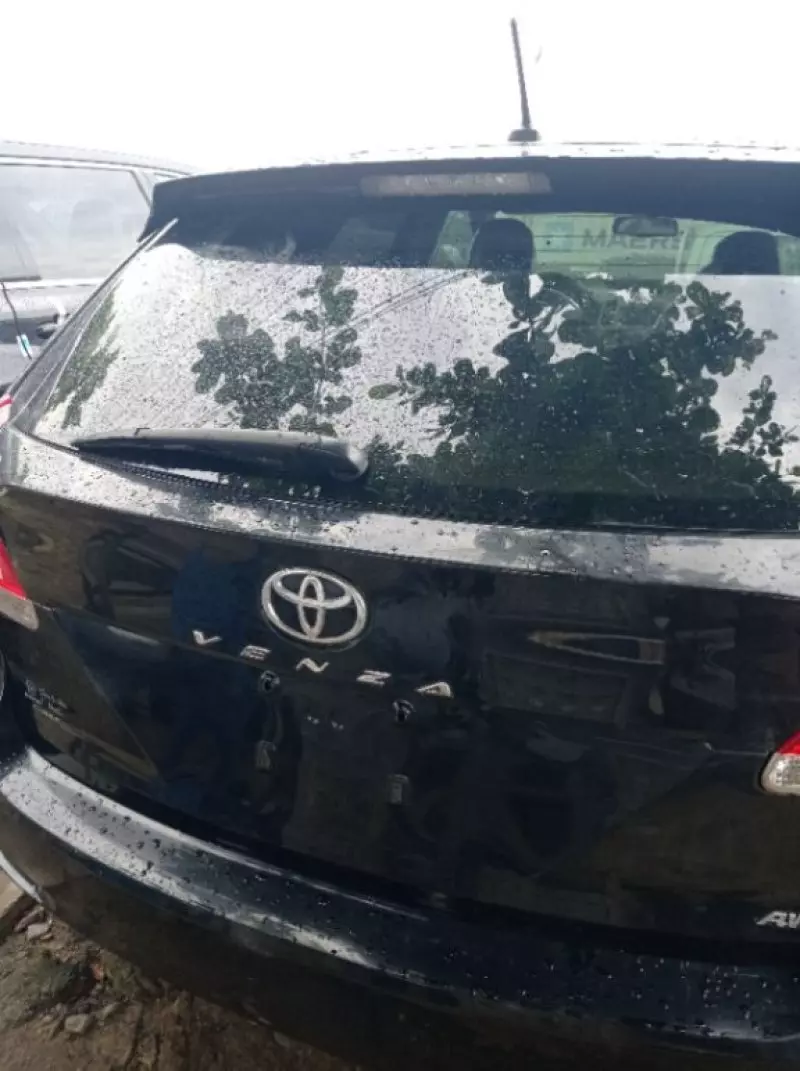 Toyota Venza   - 2009