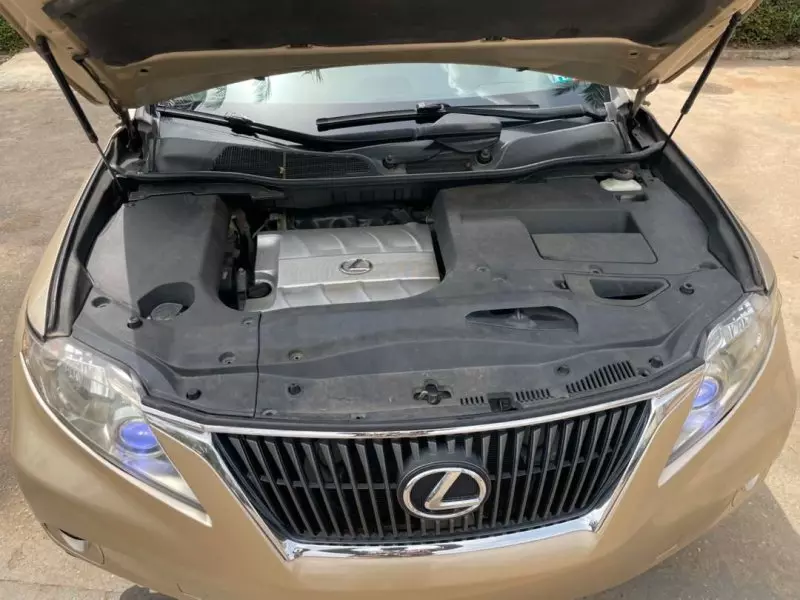 Lexus RX   - 2010