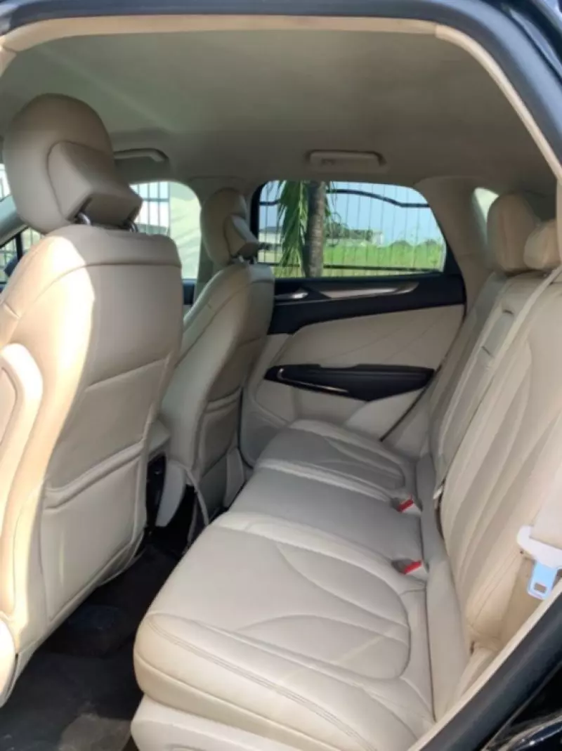 Ford Falcon   - 2019