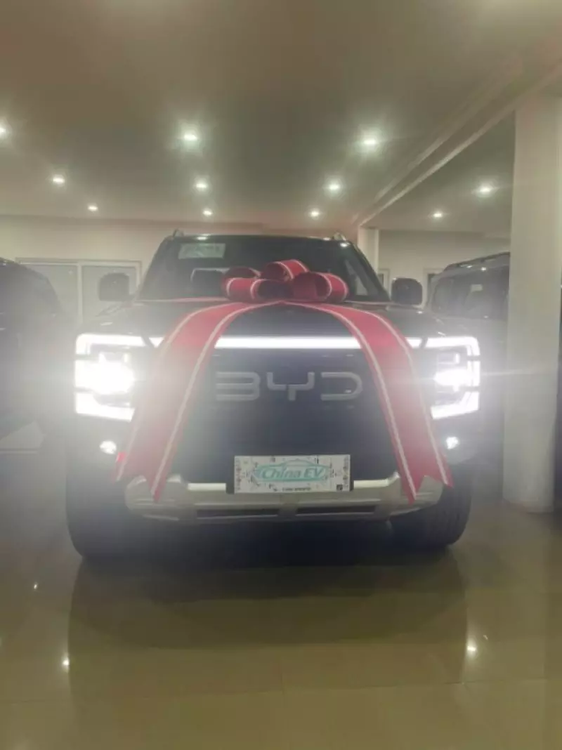 BYD Song Plus   - 2025