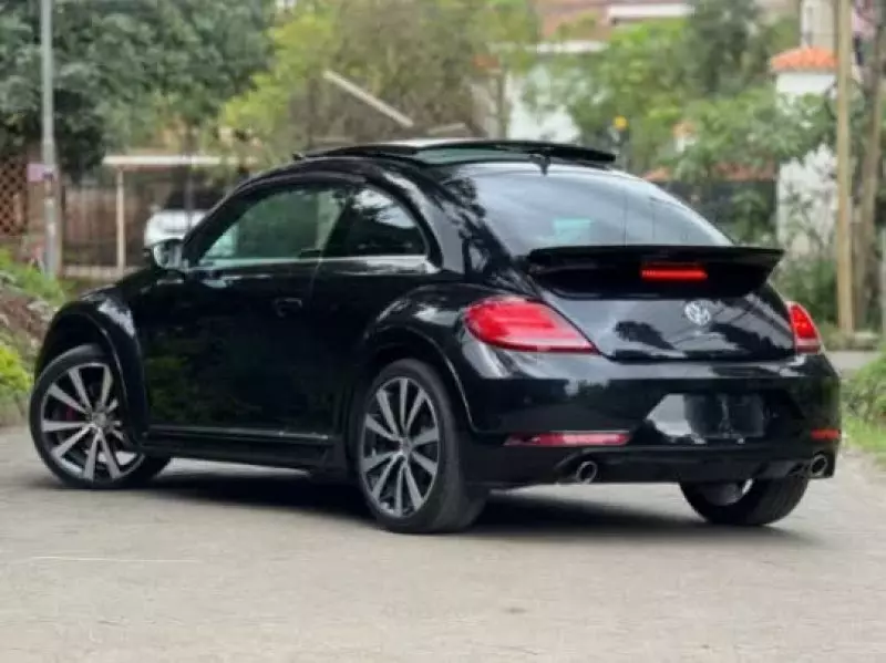 Volkswagen Beetle   - 2019