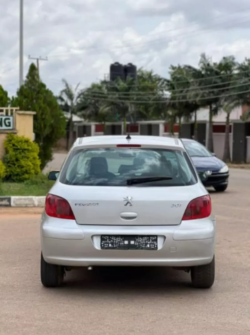Peugeot 307   - 2008