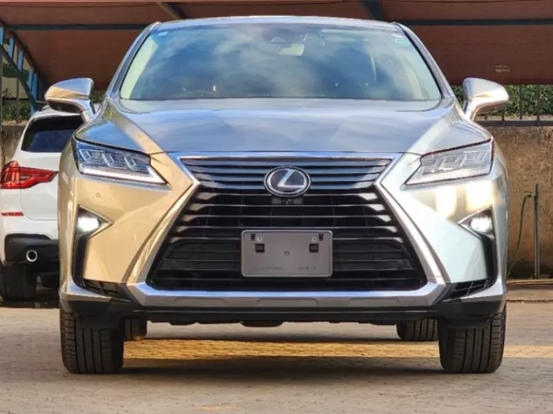 Lexus RX 300   - 2018