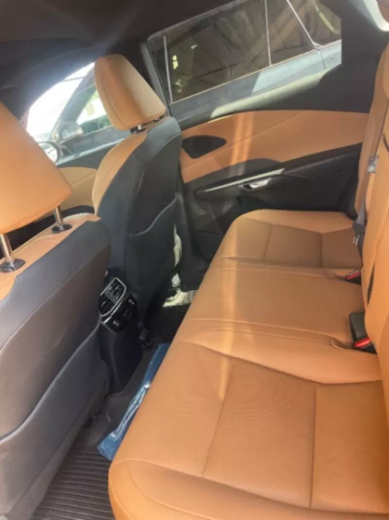 Lexus RX   - 2024