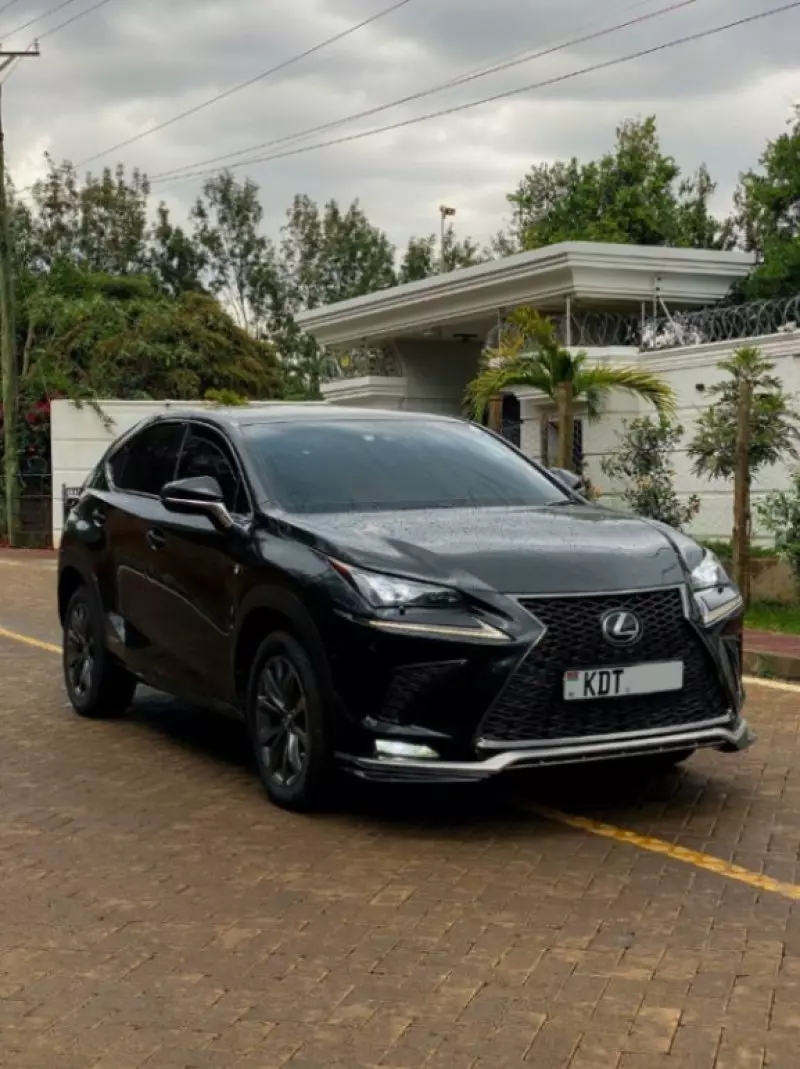 Lexus NX   - 2018