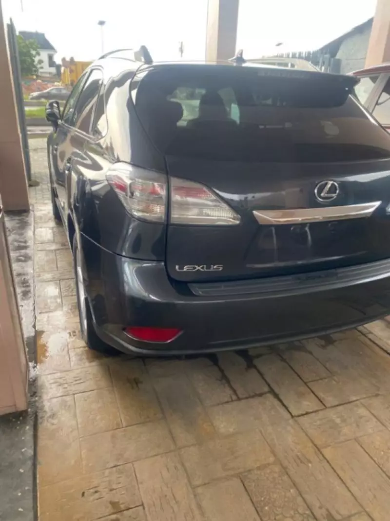Lexus RX   - 2010