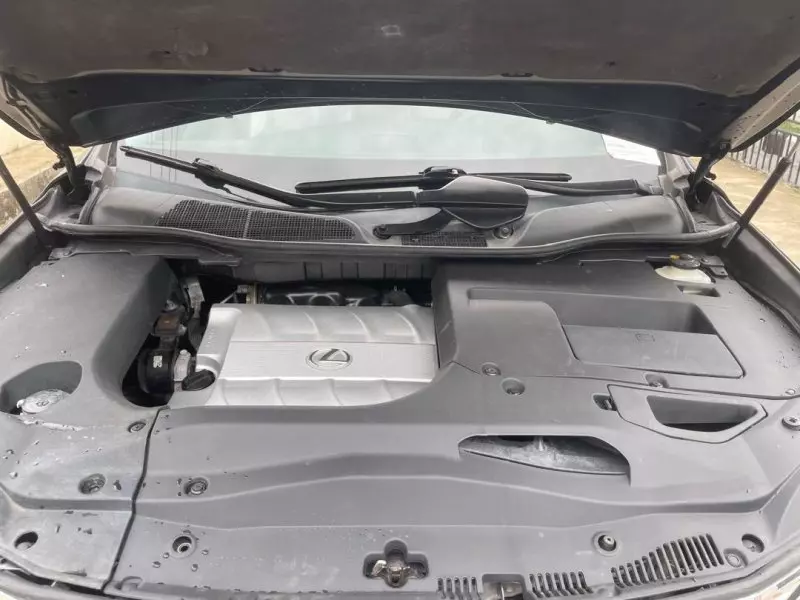 Lexus RX 350   - 2009