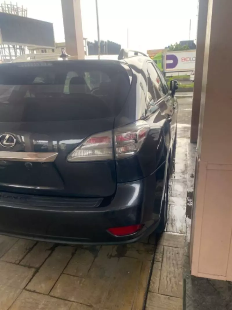 Lexus RX   - 2010