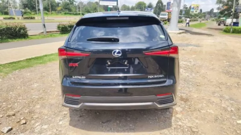 Lexus NX   - 2018
