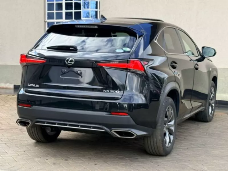 Lexus NX 300   - 2019