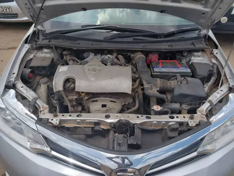 TOYOTA Axio    - 2019