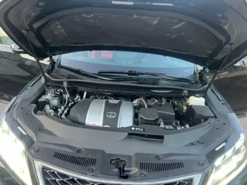 Lexus RX 350   - 2020