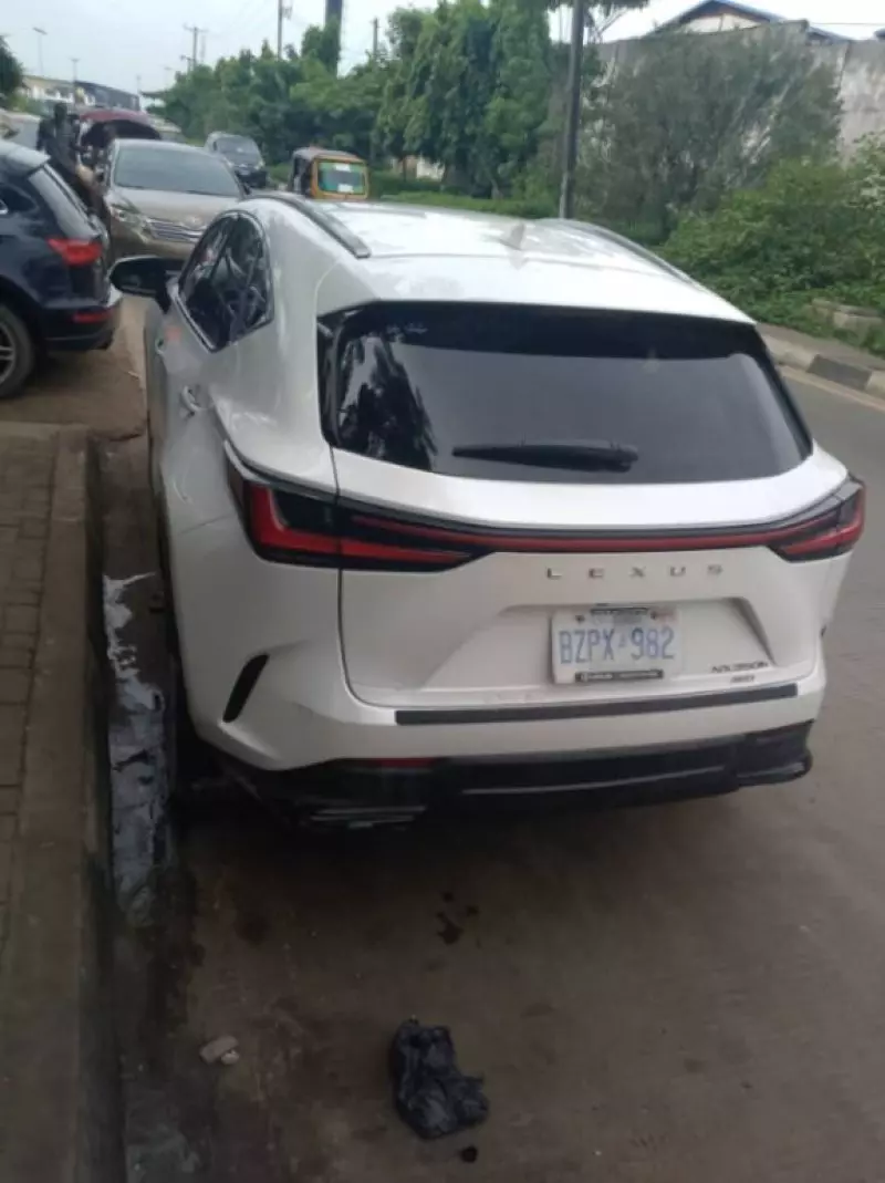 Lexus NX   - 2024