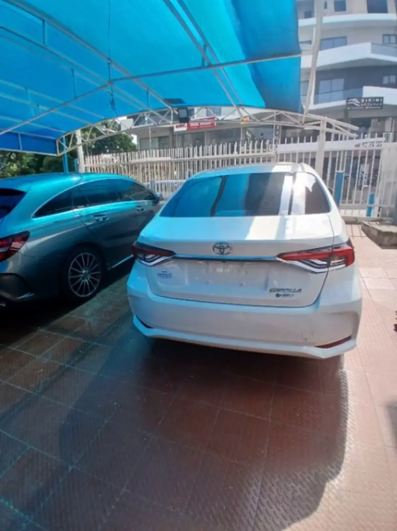 TOYOTA corolla   - 2025