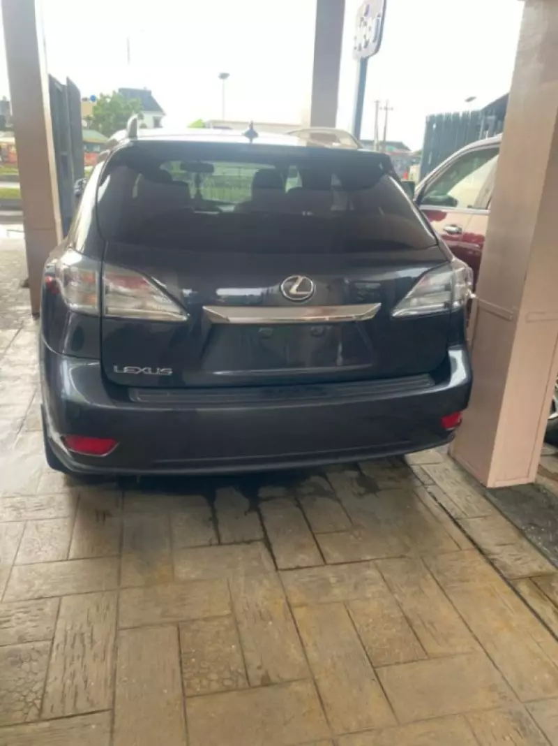 Lexus RX   - 2010