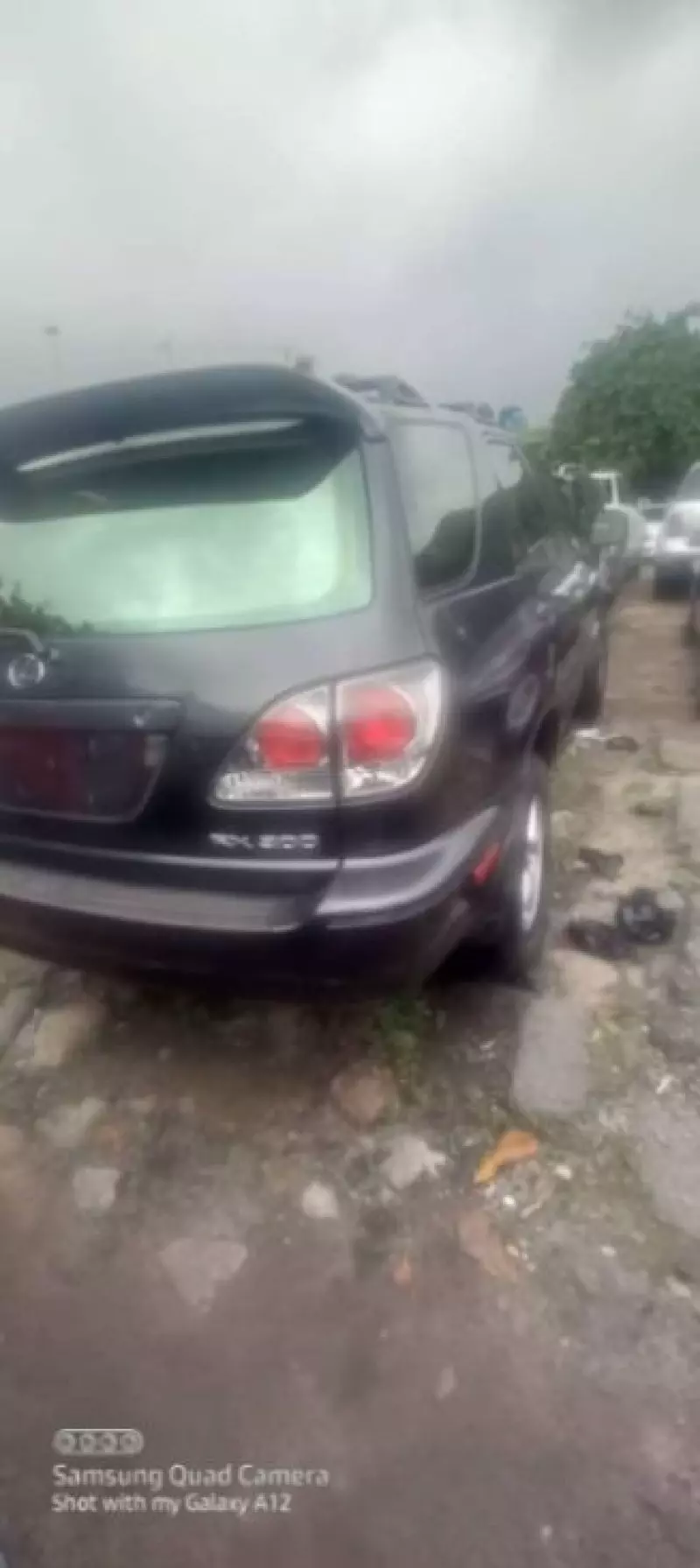 Lexus RX 300   - 2005